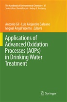 Lui Alejandro Galeano, Luis Alejandro Galeano, Miguel Ángel Vicente, Luis Alejandro Galeano, Antonio Gil, Miguel Ángel Vicente - The Handbook of Environmental Chemistry - 67: Applications of Advanced Oxidation Processes (AOPs) in Drinking Water Treatment