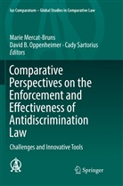 Davi B Oppenheimer, David B Oppenheimer, Marie Mercat-Bruns, David B. Oppenheimer, Cady Sartorius - Comparative Perspectives on the Enforcement and Effectiveness of Antidiscrimination Law