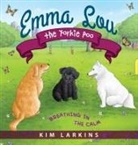 Kim Larkins - Emma Lou the Yorkie Poo