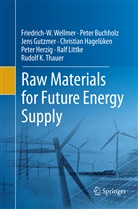 Pete Buchholz, Peter Buchholz, Jens Gutzmer, Christian Hagelüken, Peter Herzig, Ralf Littke... - Raw Materials for Future Energy Supply
