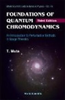Taizo Muta, Muta Taizo - Foundations of Quantum Chromodynamics: An Introduction to Perturbative Methods in Gauge Theories (3rd Edition)
