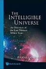 Gonzalo Julio A, Julio A Gonzalo, Julio A. Gonzalo - Intelligible Universe, The: An Overview of the Last Thirteen Billion Years (2nd Edition)