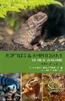 Marleen Baling, Ro Hitchmough, Rod Hitchmough, Dylan Van Winkel, Dylan Van Baling Winkel - Reptiles and Amphibians of New Zealand
