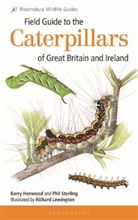 Barry Henwood, Mr Barry Henwood, Dr Phil Sterling, Dr Phil Henwood Sterling, Phil Sterling, Phil Henwood Sterling... - Field Guide to the Caterpillars of Great Britain and Ireland