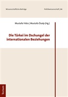 Özalp, Özalp, Mustafa Özalp, Mustaf Yildiz, Mustafa Yildiz - Die Türkei im Dschungel der internationalen Beziehungen