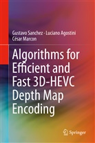 Lucian Agostini, Luciano Agostini, César Marcon, Gustav Sanchez, Gustavo Sanchez - Algorithms for Efficient and Fast 3D-HEVC Depth Map Encoding