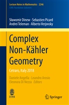 S¿awomir Dinew, Slawomi Dinew, Slawomir Dinew, Sławomir Dinew, Sebastie Picard, Sebastien Picard... - Complex Non-Kähler Geometry