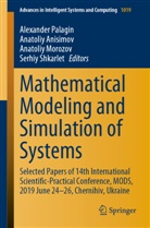Anatoli Anisimov, Anatoliy Anisimov, Anatoliy Morozov, Anatoliy Morozov et al, Alexander Palagin, Serhiy Shkarlet - Mathematical Modeling and Simulation of Systems