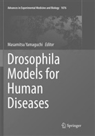 Masamits Yamaguchi, Masamitsu Yamaguchi - Drosophila Models for Human Diseases