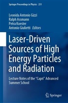 Ralp Assmann, Ralph Assmann, Antonio Giulietti, Leonida Antonio Gizzi, Petra Koester, Petra Maria Koester... - Laser-Driven Sources of High Energy Particles and Radiation