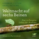 Susann Foitzik, Susanne Foitzik, Olaf Fritsche, Elke Schützhold - Weltmacht auf sechs Beinen, 1 Audio-CD, MP3 Format (Hörbuch)