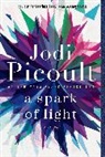 Jodi Picoult - A Spark of Light