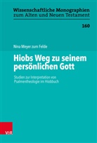 Nina Meyer zum Felde, Cilliers Breytenbach, Marti Leuenberger, Martin Leuenberger, Schn, Johannes Schnocks... - Hiobs Weg zu seinem persönlichen Gott