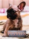 Marcus Schneck - Puppies