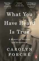 Carolyn Forche, Carolyn Forché - What You Have Heard Is True