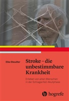 Elke Steudter - Stroke - die unbestimmbare Krankheit