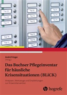 Andr Fringer, André Fringer - Das Buchser Pflegeinventar für häusliche Krisensituationen (BLiCK)