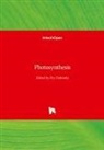 Zv Dubinsky, Zvy Dubinsky - Photosynthesis