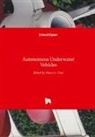 Nun Cruz, Nuno Cruz - Autonomous Underwater Vehicles