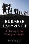 Carlos Sardina Galache, Carlos Sardiña Galache, Carlos Sardiña Galache - The Burmese Labyrinth