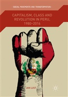Jan Lust - Capitalism, Class and Revolution in Peru, 1980-2016