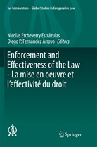 Nicolá Etcheverry Estrázulas, Nicolás Etcheverry Estrázulas, Diego P. Fernández Arroyo, P Fernández Arroyo - Enforcement and Effectiveness of the Law -  La mise en oeuvre et l'effectivité du droit