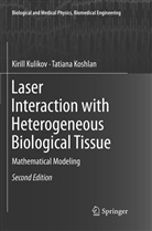 Tatiana Koshlan, Kiril Kulikov, Kirill Kulikov - Laser Interaction with Heterogeneous Biological Tissue