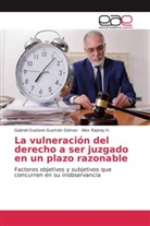 Gabriel Gustav Guzmán Gómez, Gabriel Gustavo Guzmán Gómez, Alex Rapray H, Alex Rapray H. - La vulneración del derecho a ser juzgado en un plazo razonable