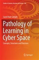 Sayed Hadi Sadeghi - Pathology of Learning in Cyber Space