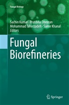 Pratibh Dheeran, Pratibha Dheeran, Samir Khanal, Sachin Kumar, Mohammad Taherzadeh, Mohammad Taherzadeh et al - Fungal Biorefineries