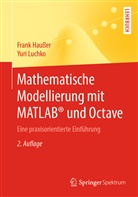 Fran Hausser, Frank Haußer, Yuri Luchko - Mathematische Modellierung mit MATLAB® und Octave