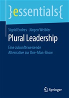 Sigri Endres, Sigrid Endres, Jürgen Weibler - Plural Leadership