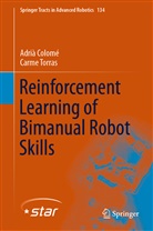 Adri Colomé, Adrià Colomé, Carme Torras - Reinforcement Learning of Bimanual Robot Skills