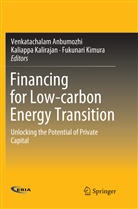 Venkatachalam Anbumozhi, Kaliapp Kalirajan, Kaliappa Kalirajan, Fukunari Kimura - Financing for Low-carbon Energy Transition