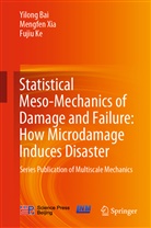 Yilon Bai, Yilong Bai, Fujiu Ke, Mengfe Xia, Mengfen Xia - Statistical Meso-Mechanics of Damage and Failure: How Microdamage Induces Disaster