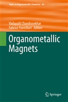 Vadapall Chandrasekhar, Vadapalli Chandrasekhar, Pointillart, Pointillart, Fabrice Pointillart - Organometallic Magnets