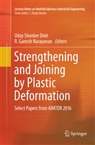 Uday Shanker Dixit, Ganesh Narayanan, Ganesh Narayanan, R. Ganesh Narayanan, Uda Shanker Dixit, Uday Shanker Dixit - Strengthening and Joining by Plastic Deformation
