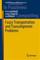Janus Kacprzyk, Janusz Kacprzyk, Amarpree Kaur, Amarpreet Kaur, Amit Kumar - Fuzzy Transportation and Transshipment Problems