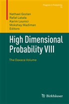 Nathael Gozlan, Rafa¿ Lata¿a, Rafa Latala, Rafal Latala, Rafał Latała, Karim Lounici... - High Dimensional Probability VIII