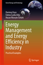 Fatm Çanka Kiliç, Fatma ÇANKA KILIÇ, Fatma Çanka Kılıç, Durmu Kaya, Durmus KAYA, Durmuş KAYA... - Energy Management and Energy Efficiency in Industry