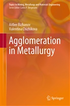 Aitbe Bizhanov, Aitber Bizhanov, Valentina Chizhikova - Agglomeration in Metallurgy