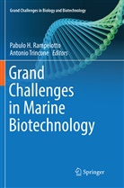 Pabul H Rampelotto, Pabulo H Rampelotto, Pabulo H. Rampelotto, Trincone, Trincone, Antonio Trincone - Grand Challenges in Marine Biotechnology