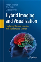 Josep Awange, Joseph Awange, Bel Palancz, Bela Palancz, Bél Paláncz, Béla Paláncz... - Hybrid Imaging and Visualization