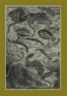 Neuville-a, Alphonse De Neuville - Carnet ligné : Vingt mille lieues sous les mers, Jules Verne, 1871 : Le Fleuve Noir