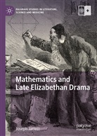 Joseph Jarrett - Mathematics and Late Elizabethan Drama