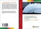 Nadiessa Cappellari, Marcos de Castro, Silvio R. Stefano, Silvio R. Stefano - A institucionalização da sustentabilidade na Itaipu Binacional