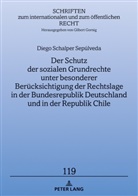 Diego Schalper - Der Schutz der sozialen Grundrechte unter besonderer Berücksichtigung der Rechtslage in der Bundesrepublik Deutschland und in der Republik Chile