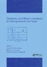 Andrzej Savinova Wieckowski, Elena R. Savinova, Savinova Elena R., Constantinos G. Vayenas, Vayenas Constantinos G., Andrzej Wieckowski... - Catalysis and Electrocatalysis At Nanoparticle Surfaces