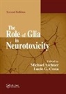 Michael (Vanderbilt University Aschner, Michael Costa Aschner, Michael Aschner, Aschner Michael, Lucio G Costa, Lucio G. Costa - Role of Glia in Neurotoxicity