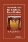 D Roy Cullimore, D. Roy Cullimore, D. Roy (Droycon Bioconcepts Inc. Cullimore, Cullimore D. Roy - Practical Atlas for Bacterial Identification